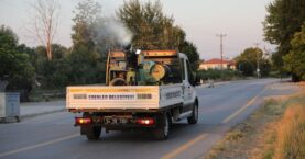 Erenler’de İlaçlama Çalışmaları Aralıksız Devam Ediyor