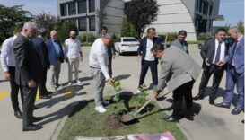 SATSO’dan anlamlı etkinlik: İlk doku kültürü Akça ağacı dikildi