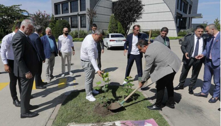 SATSO’dan anlamlı etkinlik: İlk doku kültürü Akça ağacı dikildi
