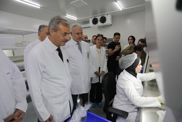 Sapanca Yanık’ta Doku Kültürü Laboratuvarı Üretime Başladı