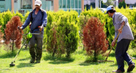Erenler'de Park ve Yeşil Alanlarda Temizlik ve Ot Biçme Çalışmaları Devam Ediyor